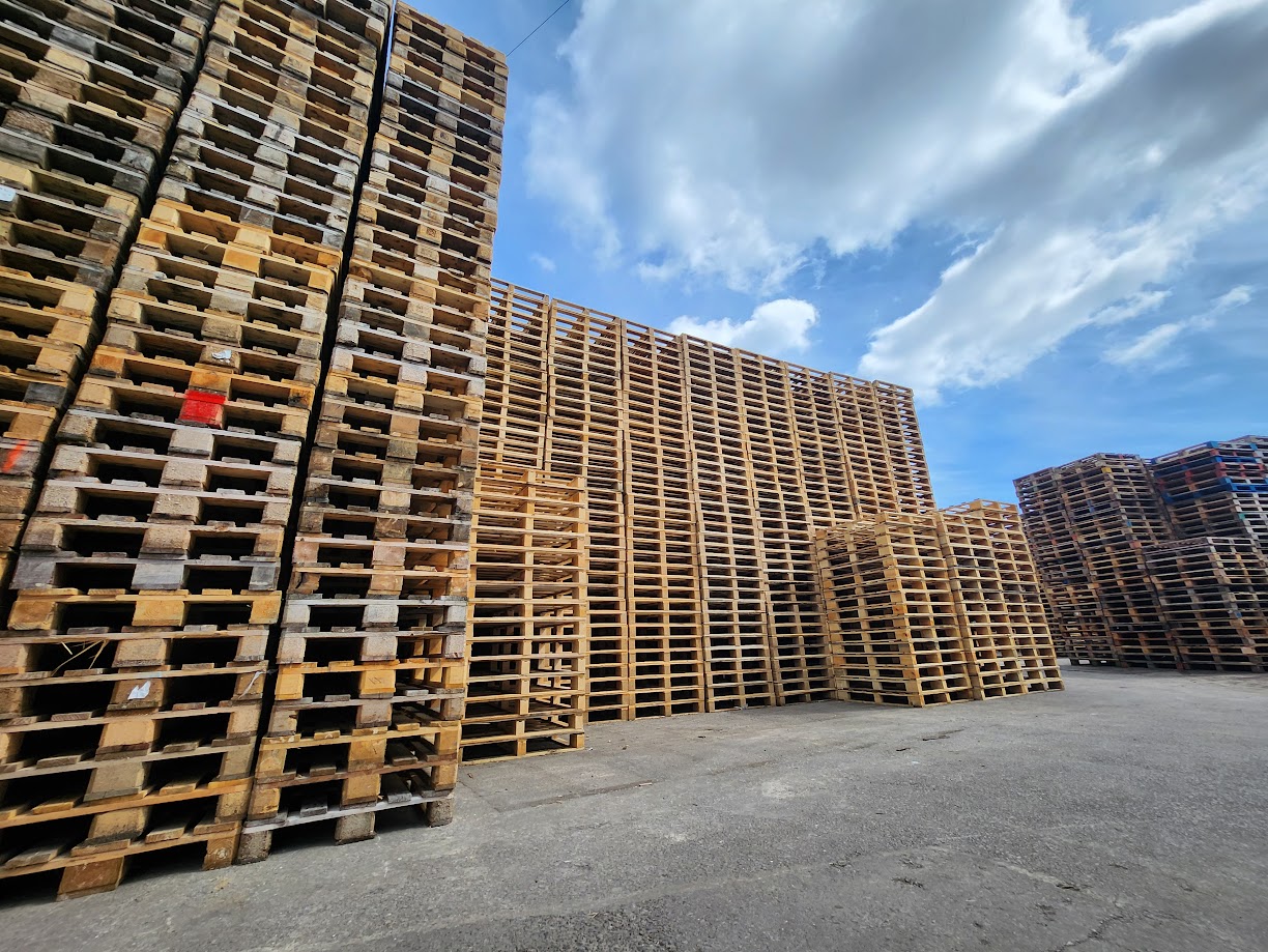 Graded reconditioned pallet stacks at S&M Pallets yard, Baglan, Port Talbot, South Wales
